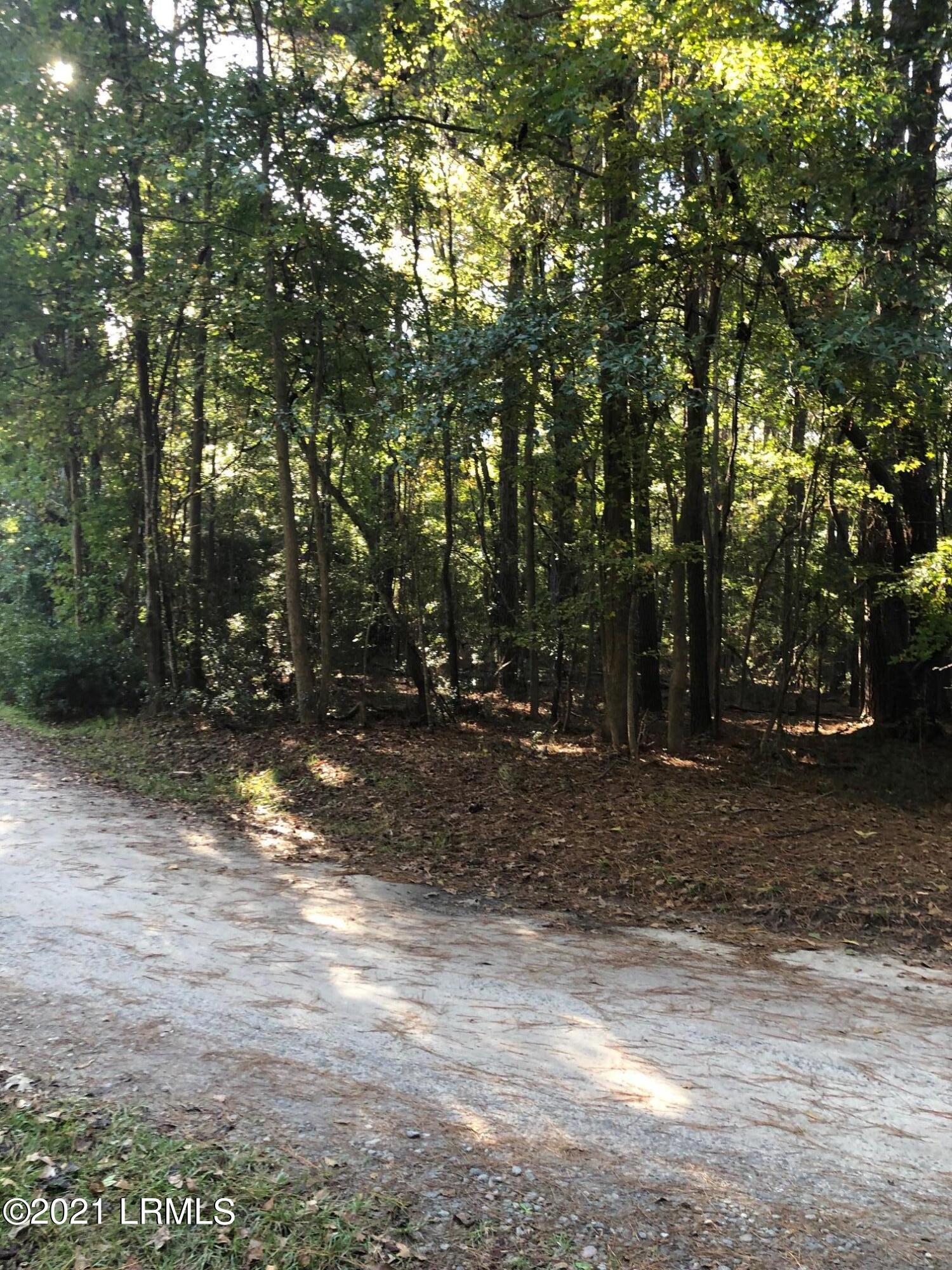 Lot 3 Deloss Point Road Ridgeland, SC 29936 - Photo 2 of 14 Deloss taken from road