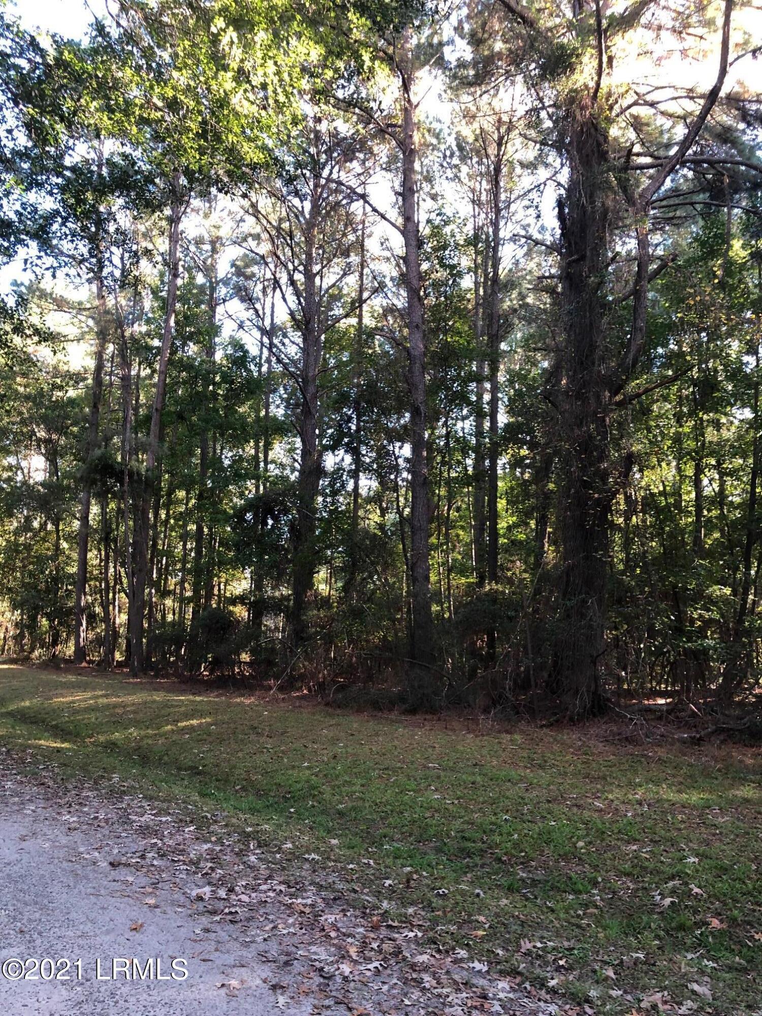Lot 3 Deloss Point Road Ridgeland, SC 29936 - Photo 6 of 14 Deloss 6