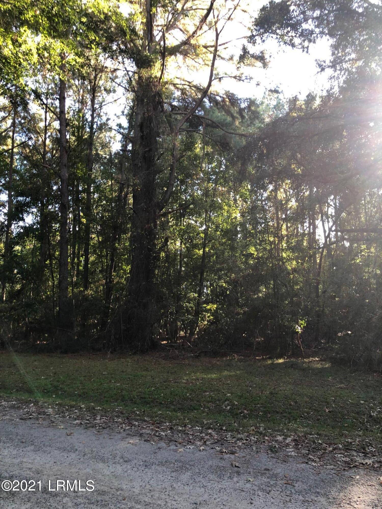 Lot 3 Deloss Point Road Ridgeland, SC 29936 - Photo 8 of 14 Deloss from road 4
