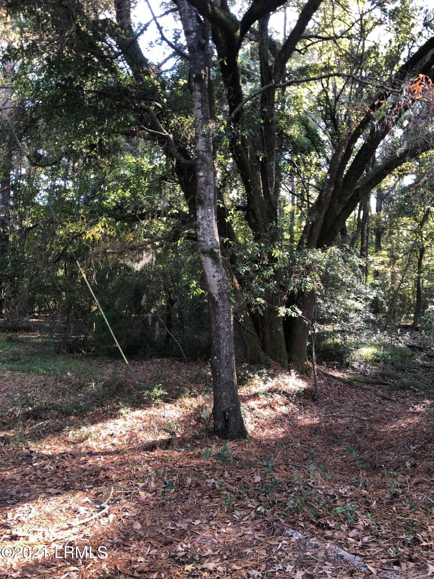 Lot 3 Deloss Point Road Ridgeland, SC 29936 - Photo 10 of 14 Deloss big oak