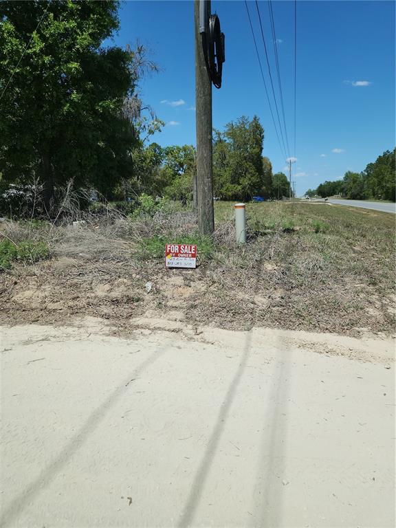 2 Northeast 125th Street Bronson, FL 32621 - Photo 19 of 19