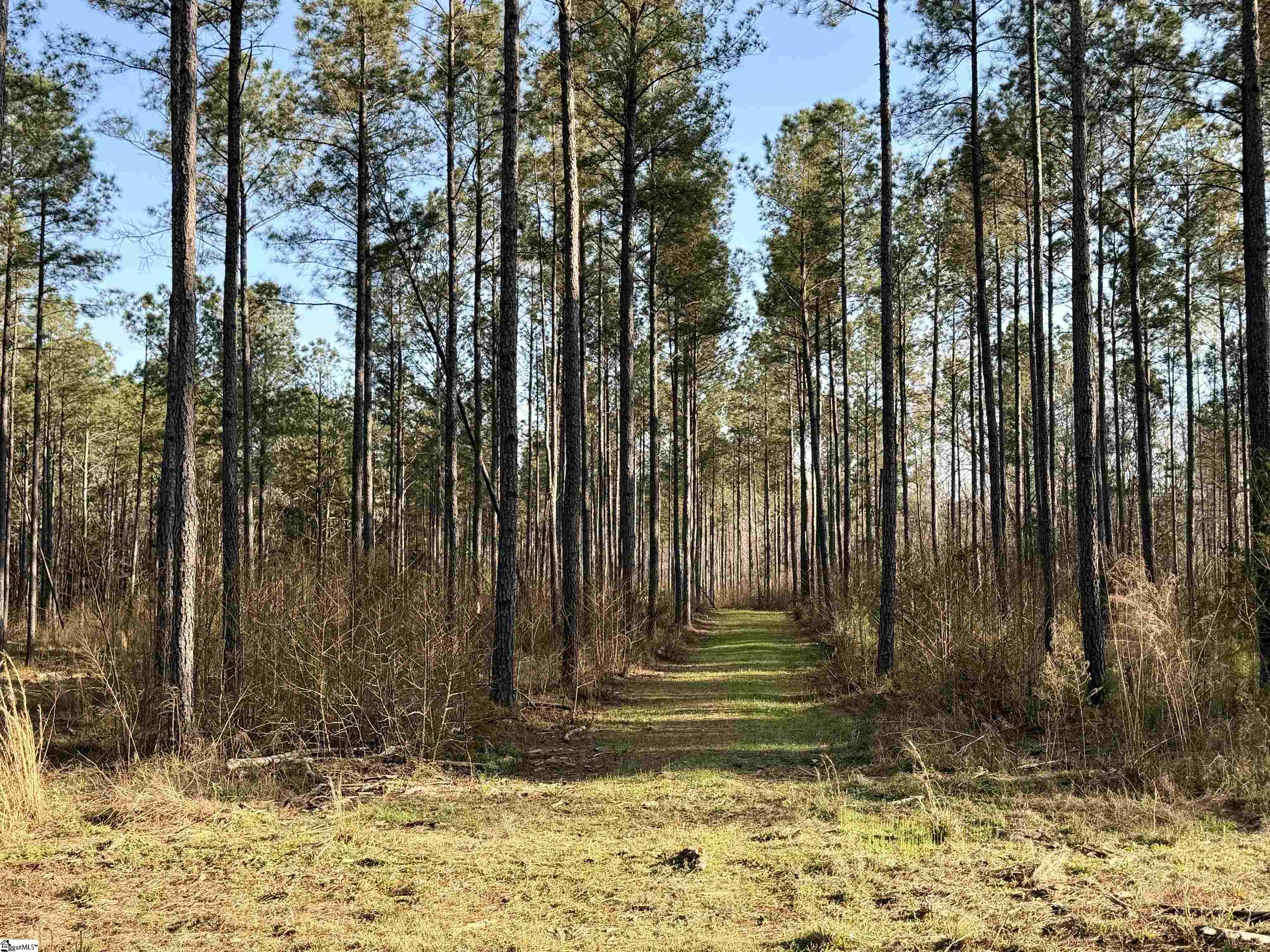 0 Long Cane Road Abbeville, SC 29620 - Photo 14 of 32 Gallery Image 14