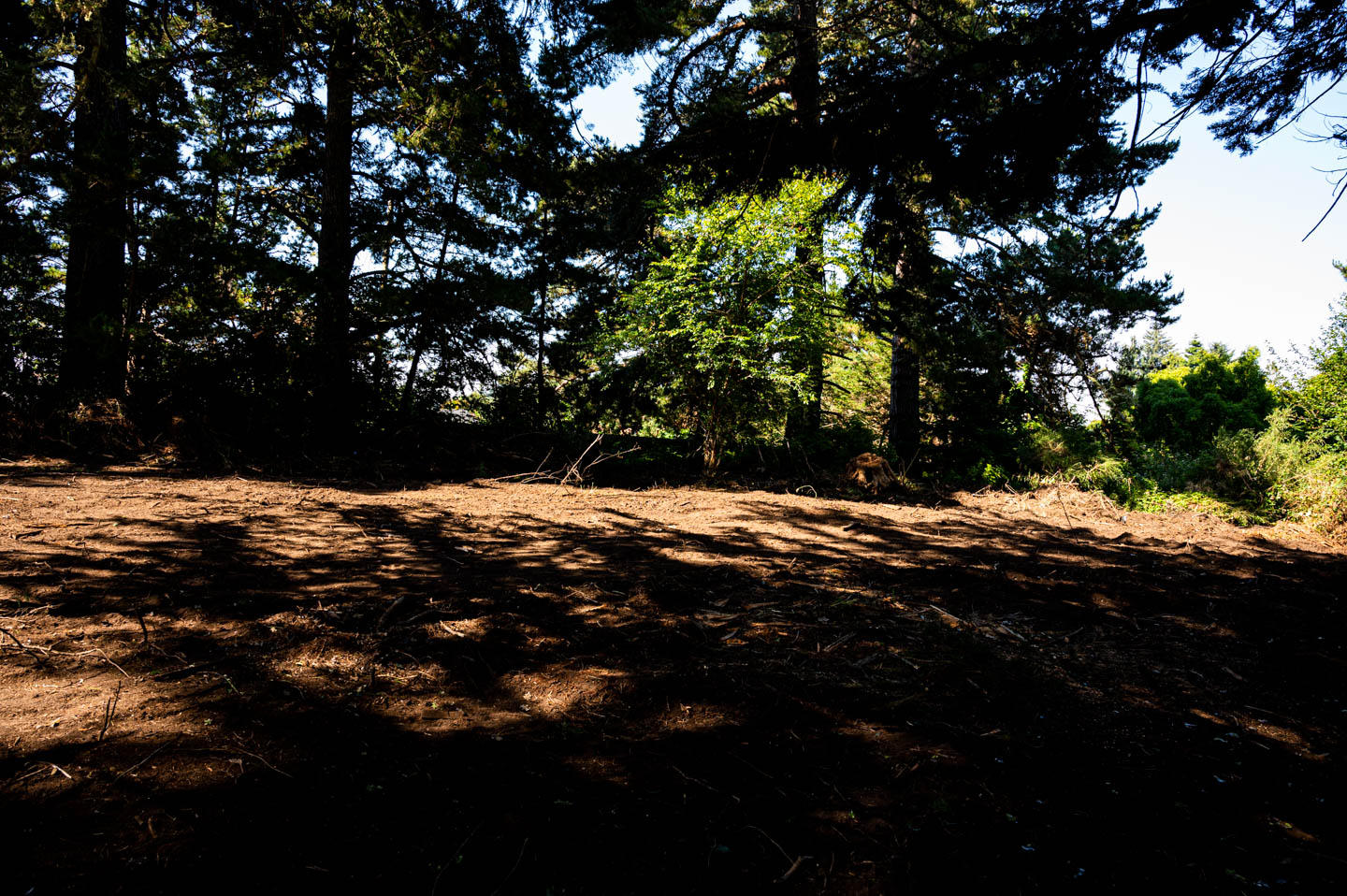 7156 Humboldt Hill Road Eureka, CA 95503 - Photo 16 of 31