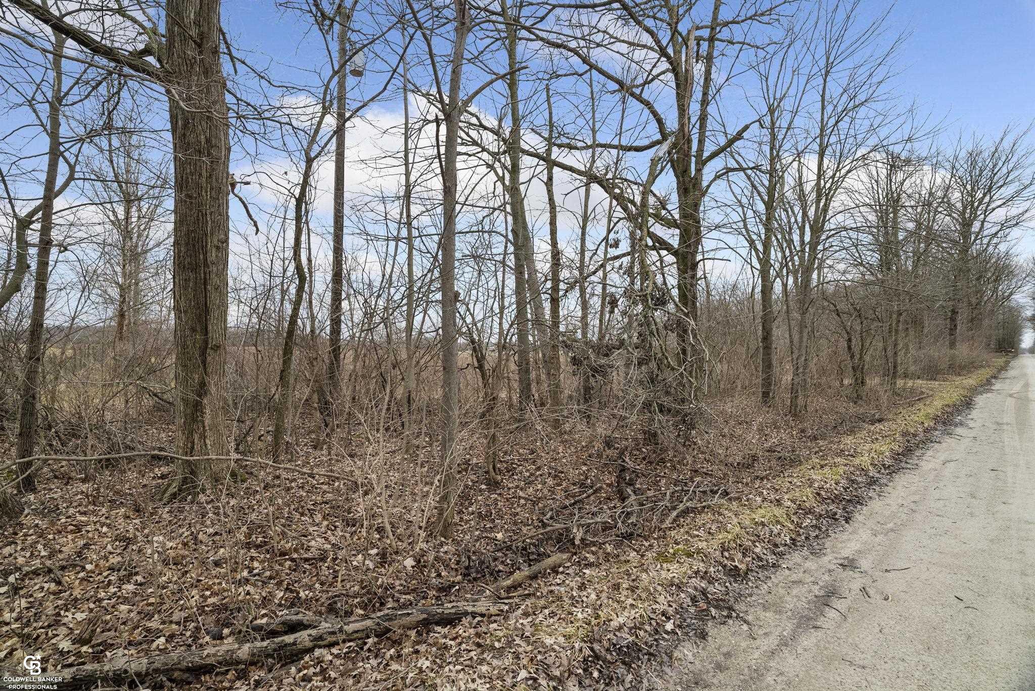 11717 Rynn Road Emmett, MI 48022 - Photo 10 of 11