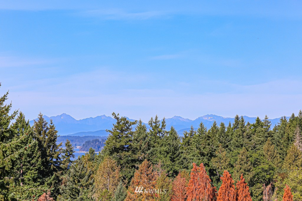8438 Tillicum Road Southwest Seattle, WA 98136 - Photo 4 of 22 a view of a city
