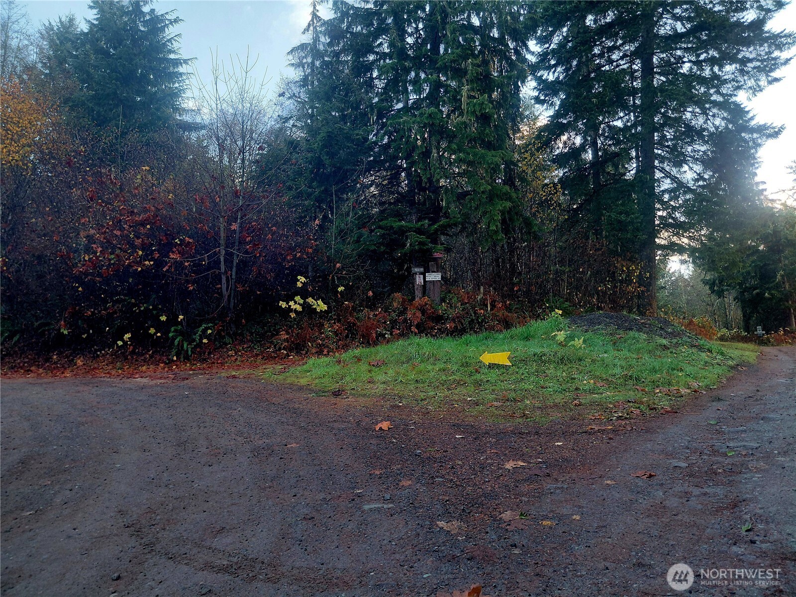 9 Old Barn Road Randle, WA 98377 - Photo 13 of 14 a view of a yard with plants and trees