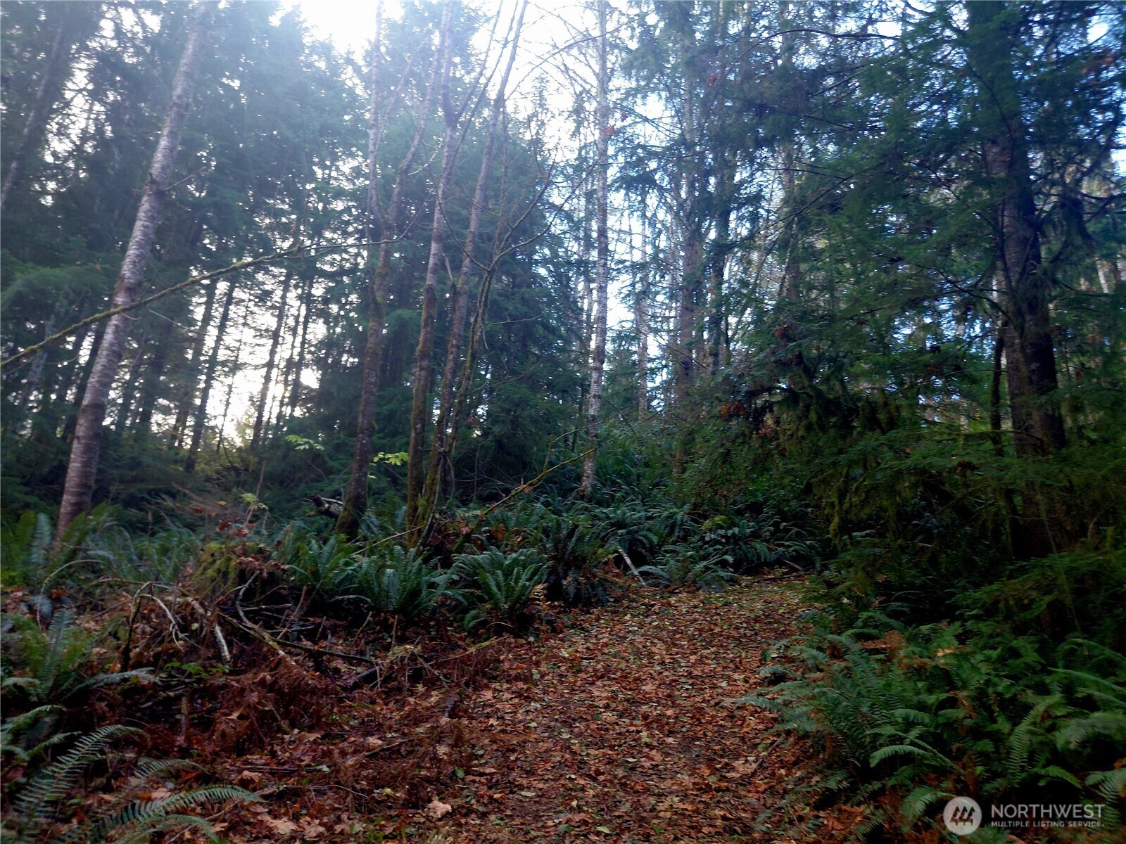 9 Old Barn Road Randle, WA 98377 - Photo 7 of 14 a view of outdoor space and garden