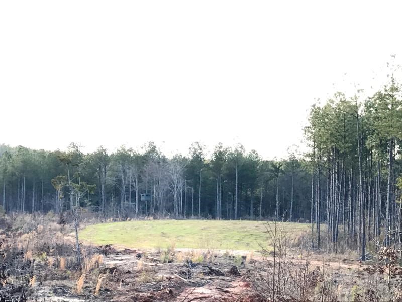 0 Suber Road Iva, SC 29655 - Photo 5 of 11 Gallery Image 5