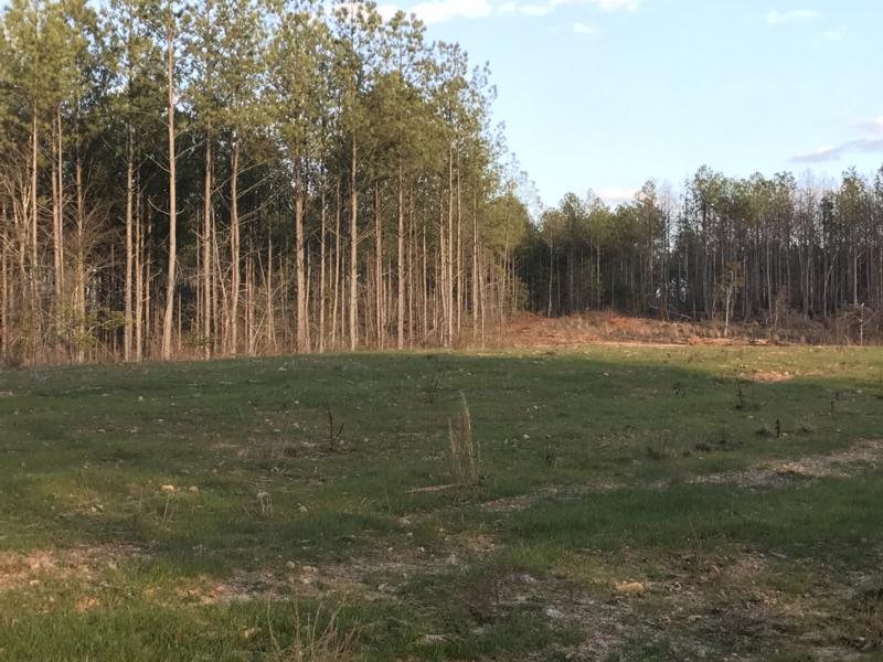0 Suber Road Iva, SC 29655 - Photo 8 of 11 Gallery Image 8
