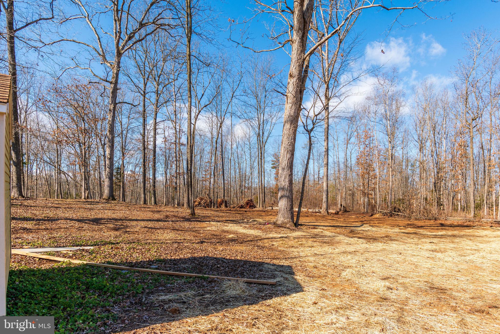 10584 Brent Town Road Catlett, VA 20119 - Photo 40 of 42