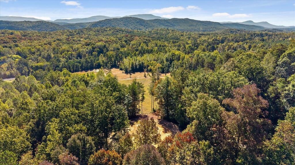 132 Turvey Nichols Road Crandall, GA 30711 - Photo 14 of 26 Gallery Image 14