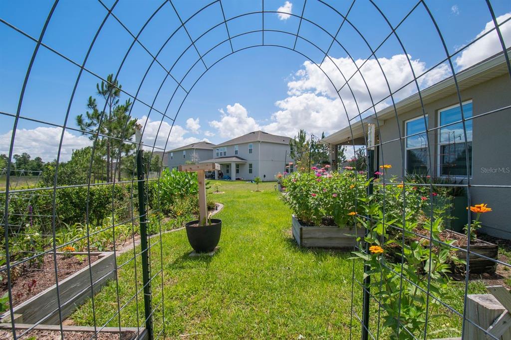 864 Vineyard Rdg Road Minneola, FL 34715 - Photo 45 of 57
