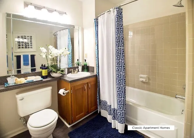 a bathroom with a toilet a sink and a bathtub