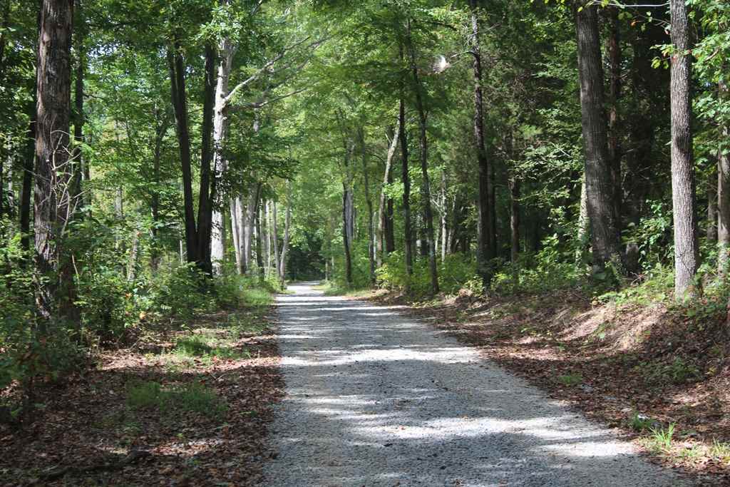 0 Poe Hill Road Elkton, KY 42220 - Photo 19 of 20 Gallery Image 19