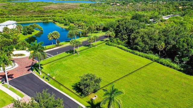 a view of a garden with plants and large trees