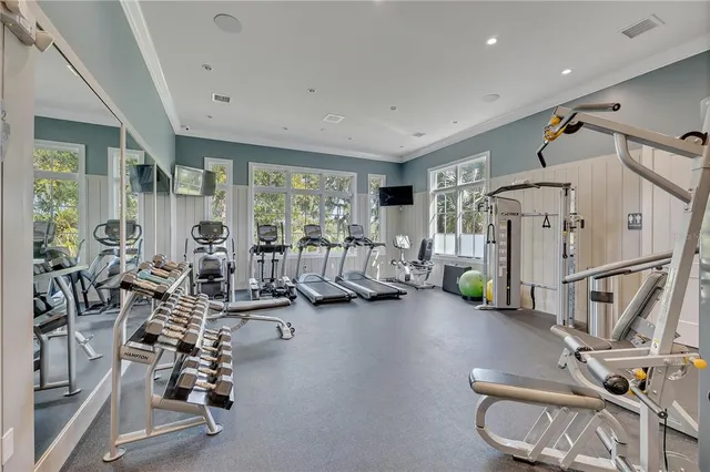 a view of a garden with a slide