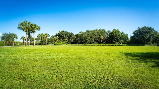 a view of a green field with trees in the background