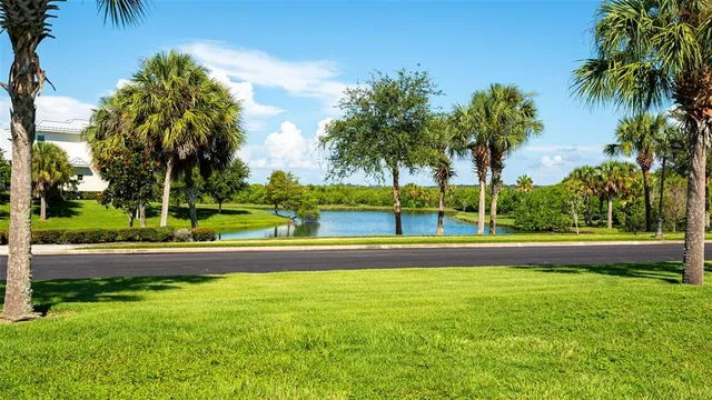 a view of a yard and palm trees