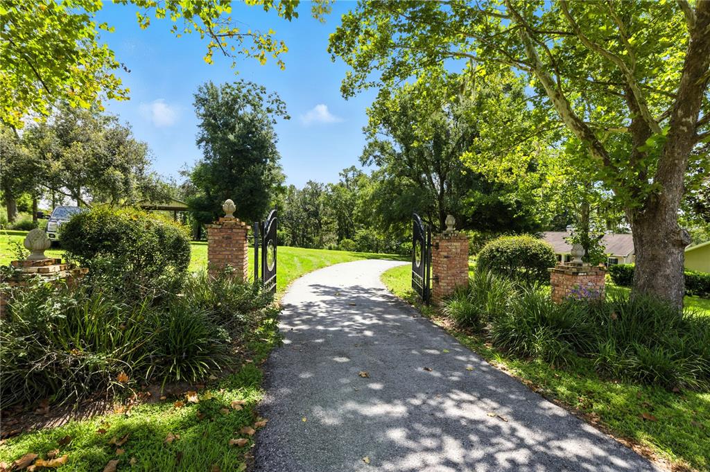 36641 Blanton Road Dade City, FL 33523 - Photo 43 of 76 a view of a park with large trees