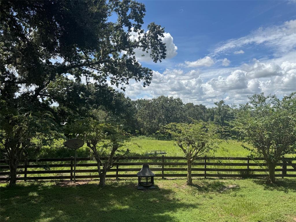 36641 Blanton Road Dade City, FL 33523 - Photo 44 of 76 a view of outdoor space yard and green space