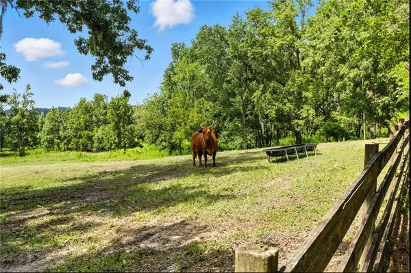 a view of an outdoor space and a yard