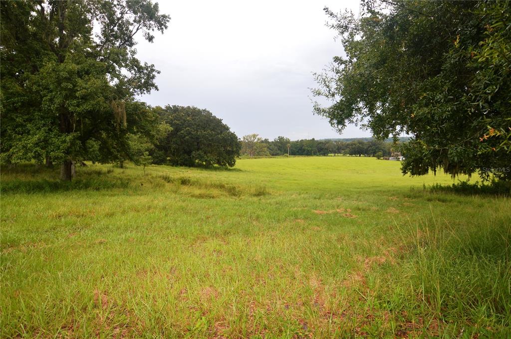 36641 Blanton Road Dade City, FL 33523 - Photo 57 of 76 a view of an ocean from a yard