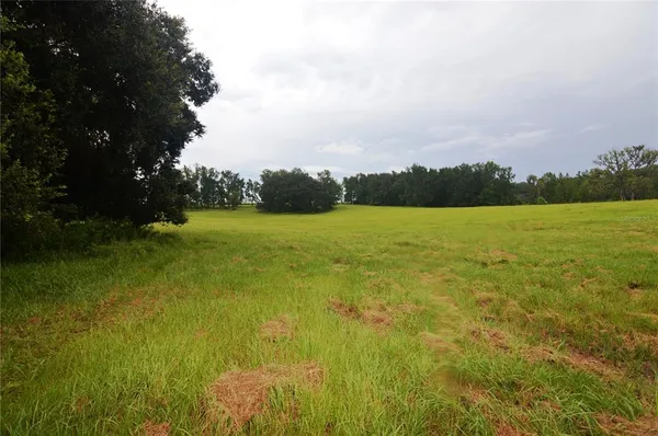 $1,499,000 | 36641 Blanton Road, Dade City, FL 33523