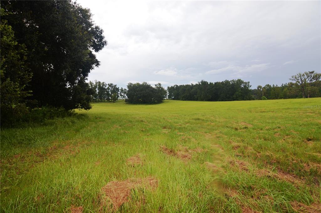 36641 Blanton Road Dade City, FL 33523 - Photo 59 of 76 a view of an ocean from a yard