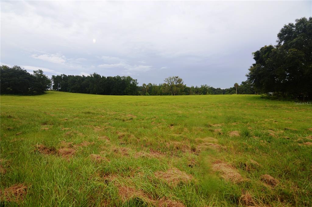 36641 Blanton Road Dade City, FL 33523 - Photo 60 of 76 a view of an ocean from a yard