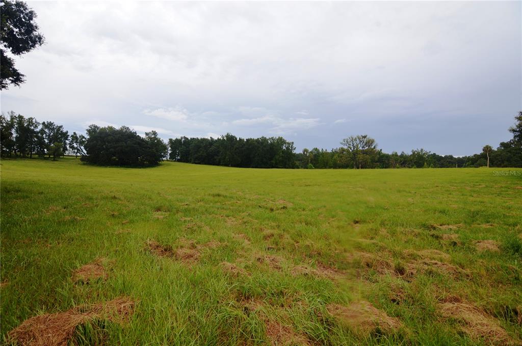 36641 Blanton Road Dade City, FL 33523 - Photo 61 of 76 a view of a field with an ocean