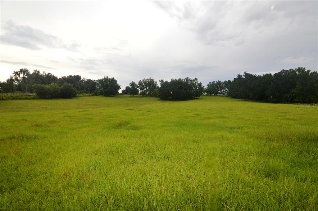 36641 Blanton Road Dade City, FL 33523 - Photo 62 of 76 a view of an ocean from a yard