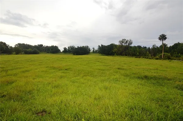$1,499,000 | 36641 Blanton Road, Dade City, FL 33523