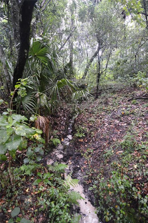 36641 Blanton Road Dade City, FL 33523 - Photo 64 of 76