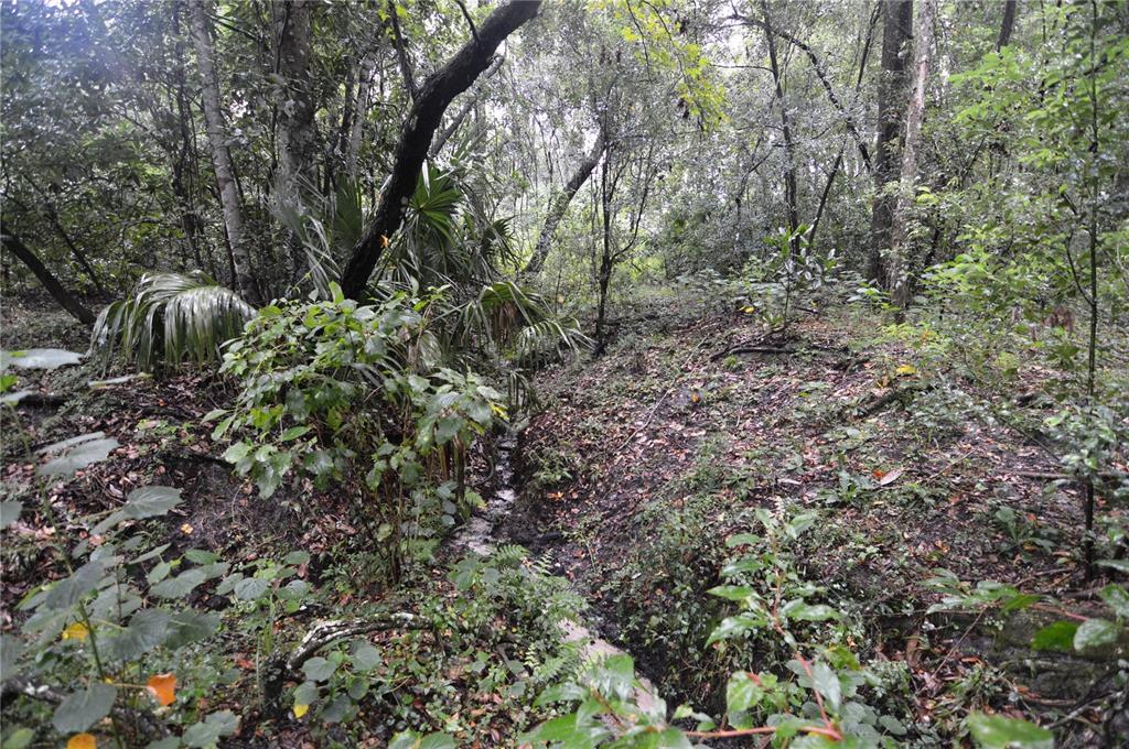 36641 Blanton Road Dade City, FL 33523 - Photo 65 of 76