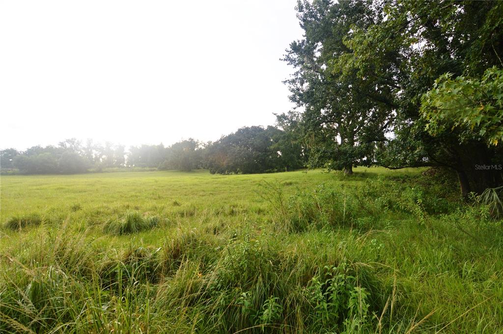 36641 Blanton Road Dade City, FL 33523 - Photo 67 of 76 a view of an outdoor space and a yard