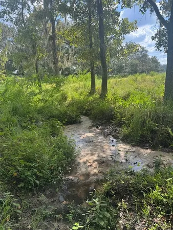 $1,499,000 | 36641 Blanton Road, Dade City, FL 33523