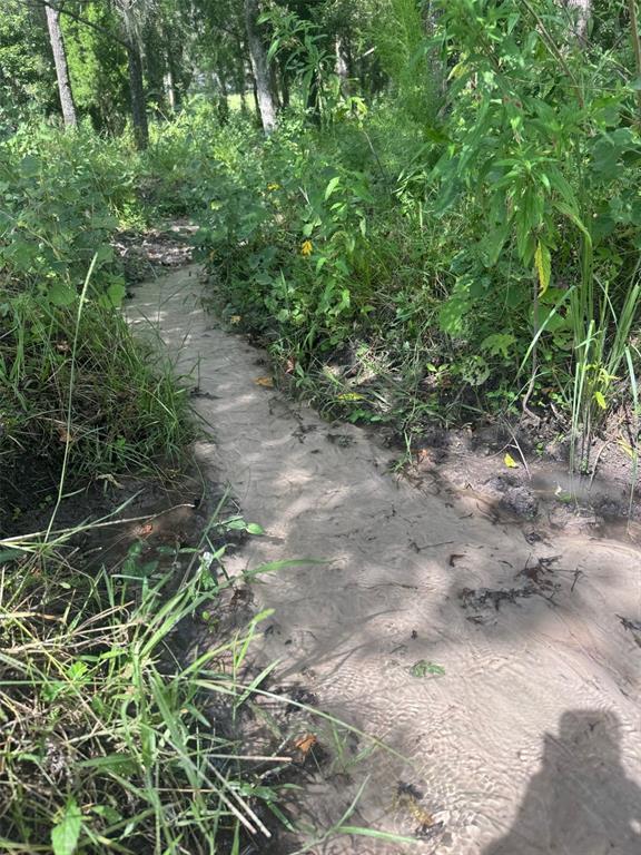 36641 Blanton Road Dade City, FL 33523 - Photo 69 of 76