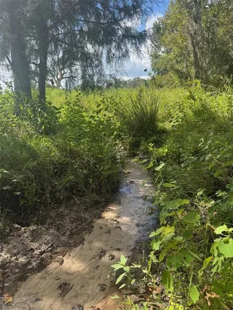 $1,499,000 | 36641 Blanton Road, Dade City, FL 33523