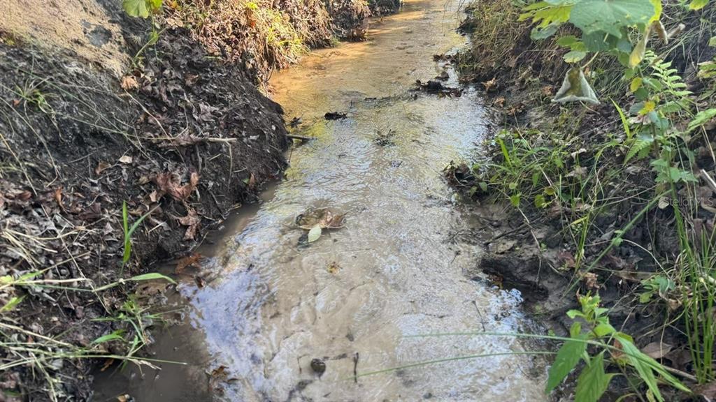 36641 Blanton Road Dade City, FL 33523 - Photo 74 of 76