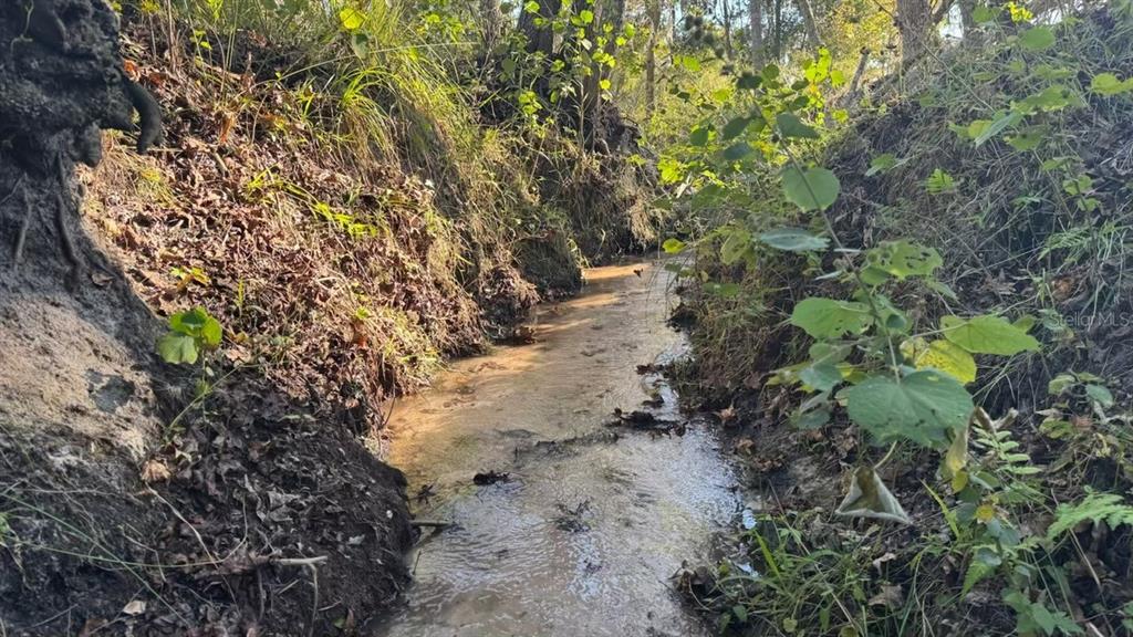 36641 Blanton Road Dade City, FL 33523 - Photo 75 of 76