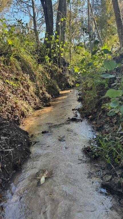 36641 Blanton Road Dade City, FL 33523 - Photo 76 of 76