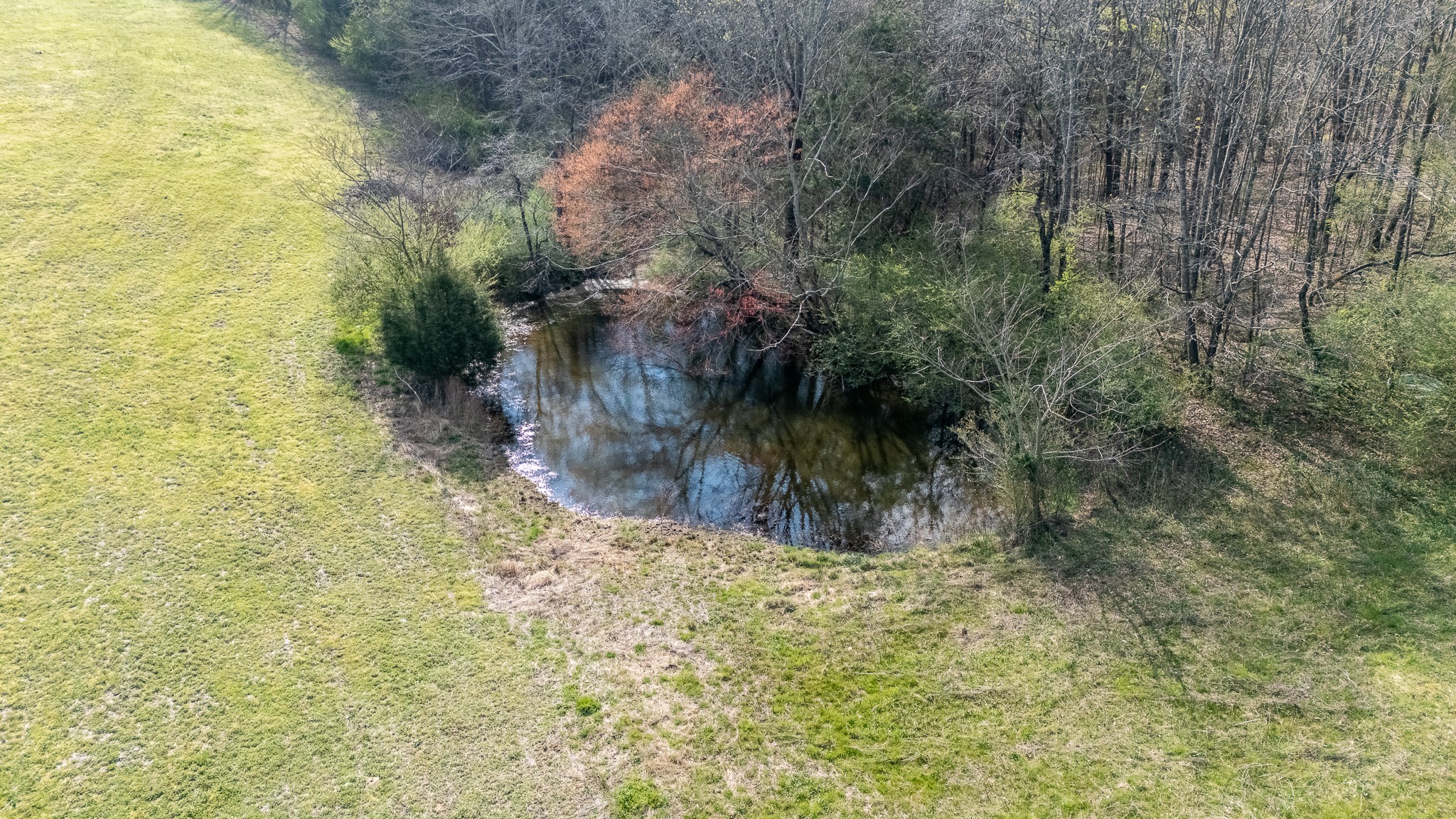 781 Knob Creek Road Lawrenceburg, TN 38464 - Photo 4 of 15