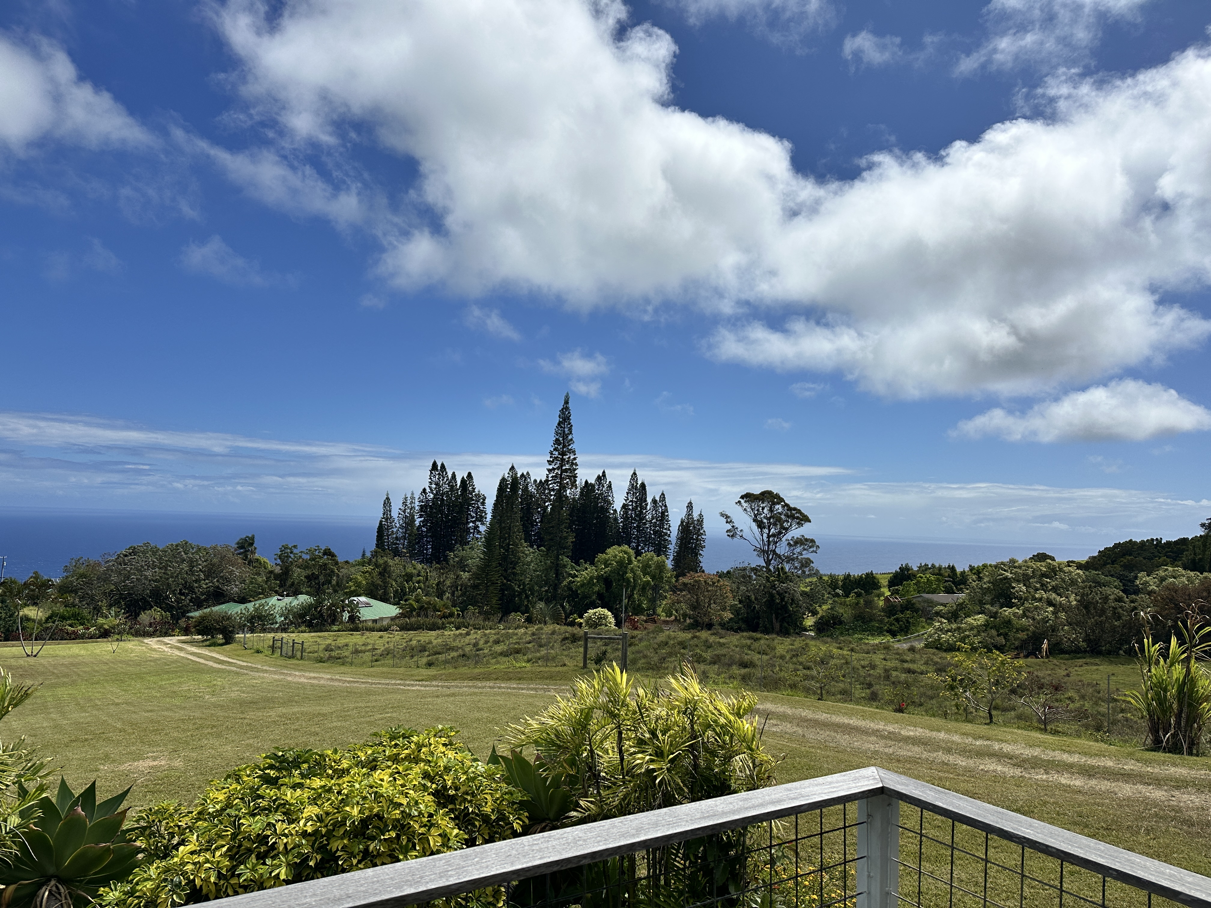 44-2017 Kaapahu Road Honokaa, HI 96727 - Photo 3 of 3 Gallery Image 3