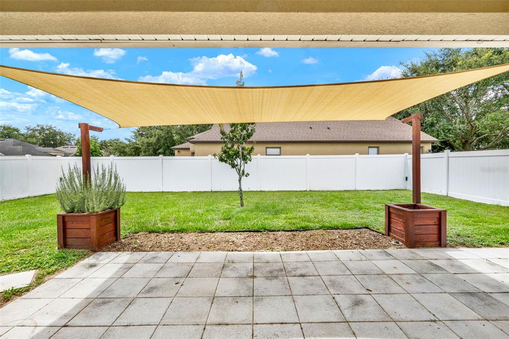 4229 Barnsley Lane Tavares, FL 32778 - Photo 19 of 20 a view of a garden with an outdoor space