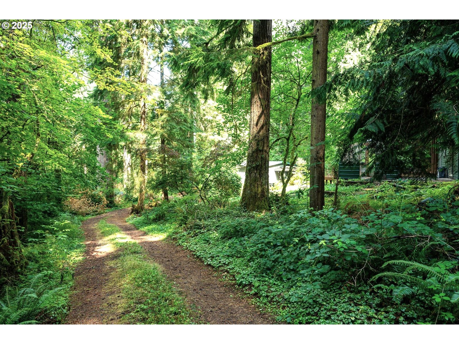 18335 Southeast 370th Avenue Sandy, OR 97055 - Photo 38 of 42 a view of yard with green space