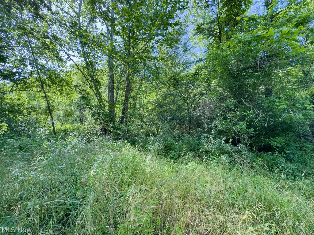 3 Jake Road Patriot, OH 45658 - Photo 10 of 15