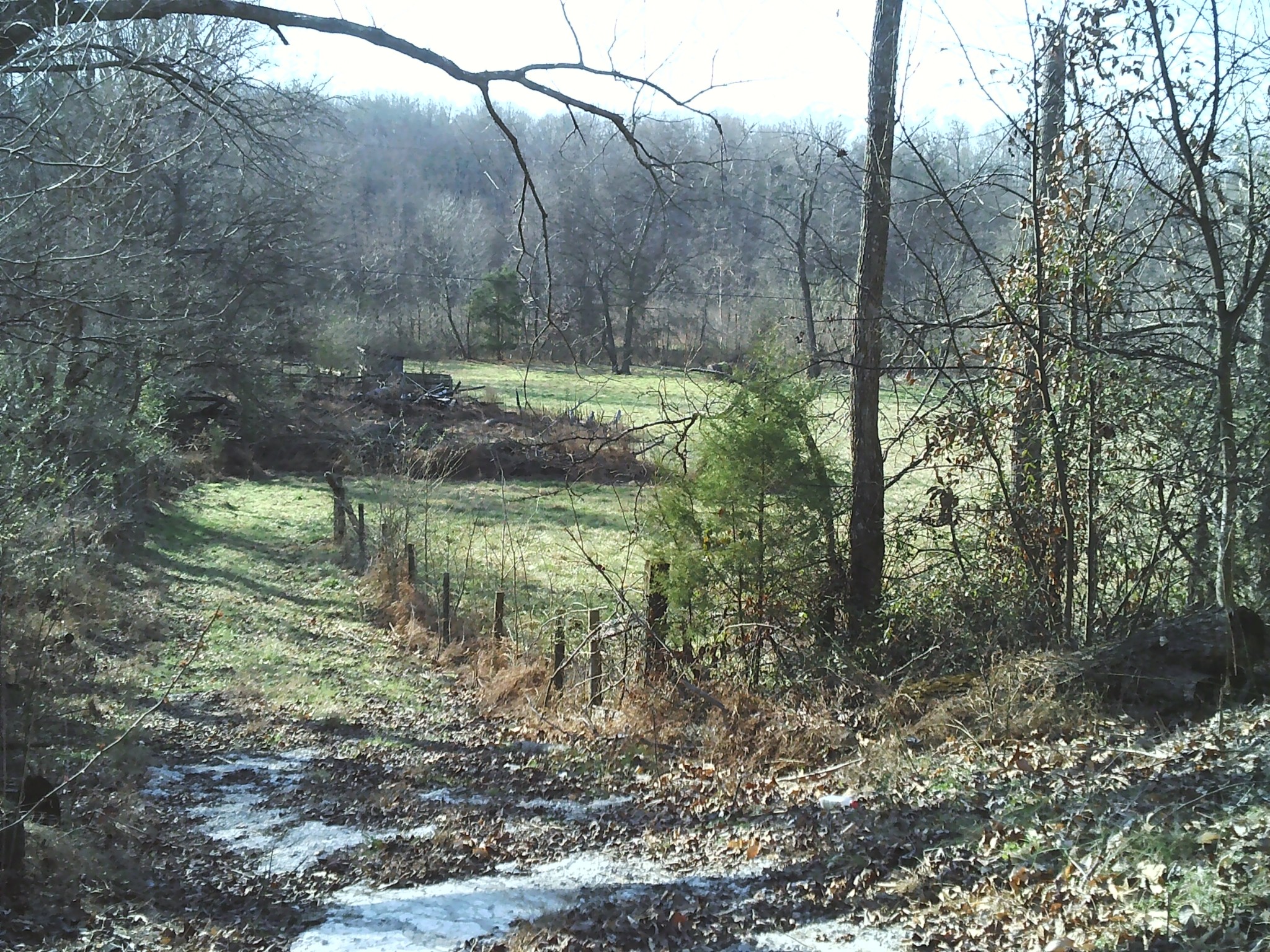 124 Hayes Fork Creek Road Dover, TN 37058 - Photo 6 of 29 a backyard of a house with lots of green space