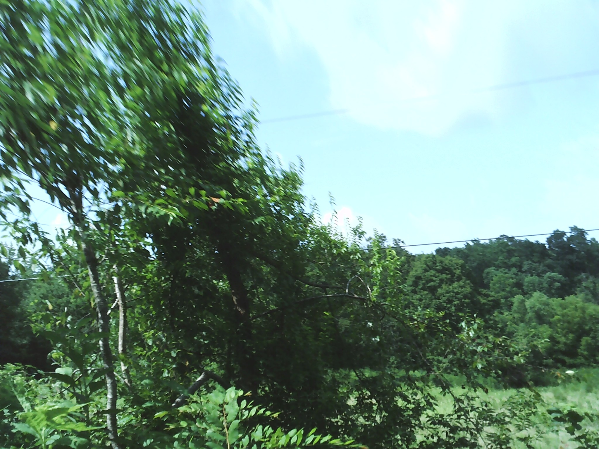 124 Hayes Fork Creek Road Dover, TN 37058 - Photo 7 of 29