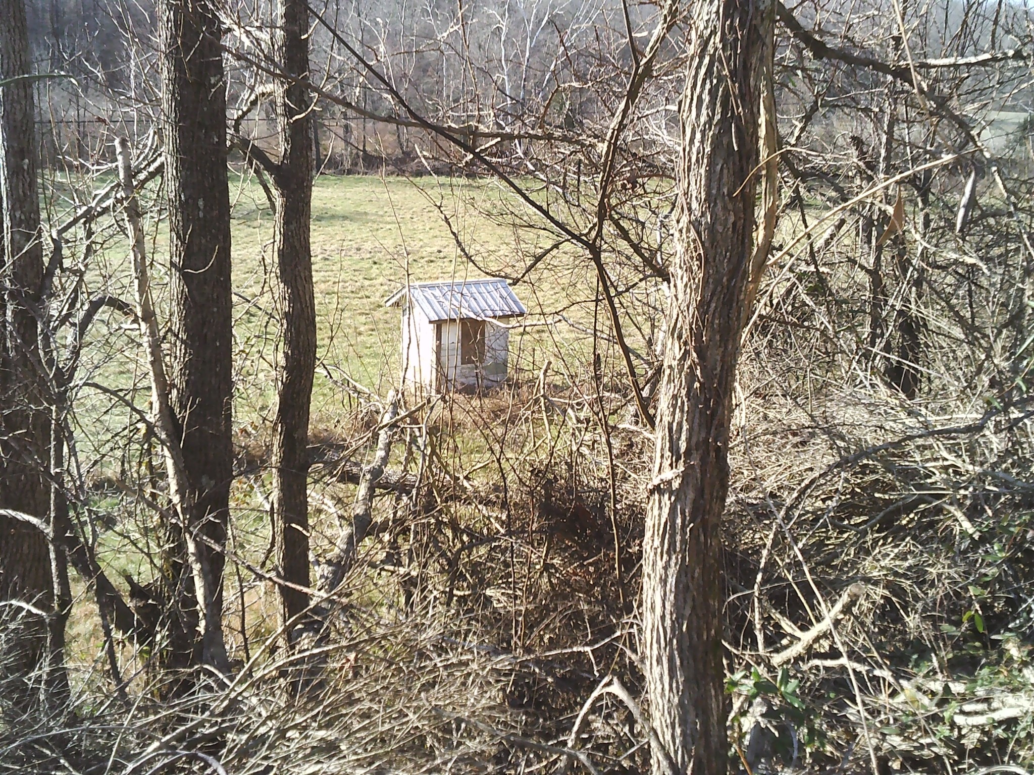 124 Hayes Fork Creek Road Dover, TN 37058 - Photo 8 of 29 a backyard of a house with lots of green space