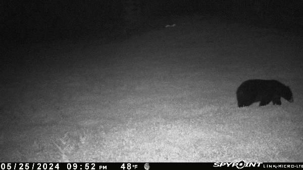 1825 Guide Board Road Schuyler Falls, NY 12985 - Photo 56 of 59 Gallery Image 56